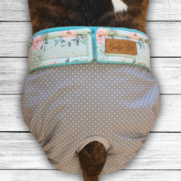 18 DIY Dog Clothes  Patterns You Can Make Today With Pictures  Hepper